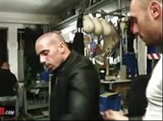 gay gay alphamales hd leather